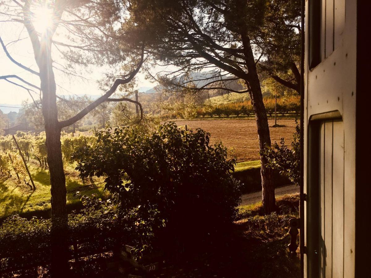 Il Cardello Locanda Casola Valsenio Exterior photo