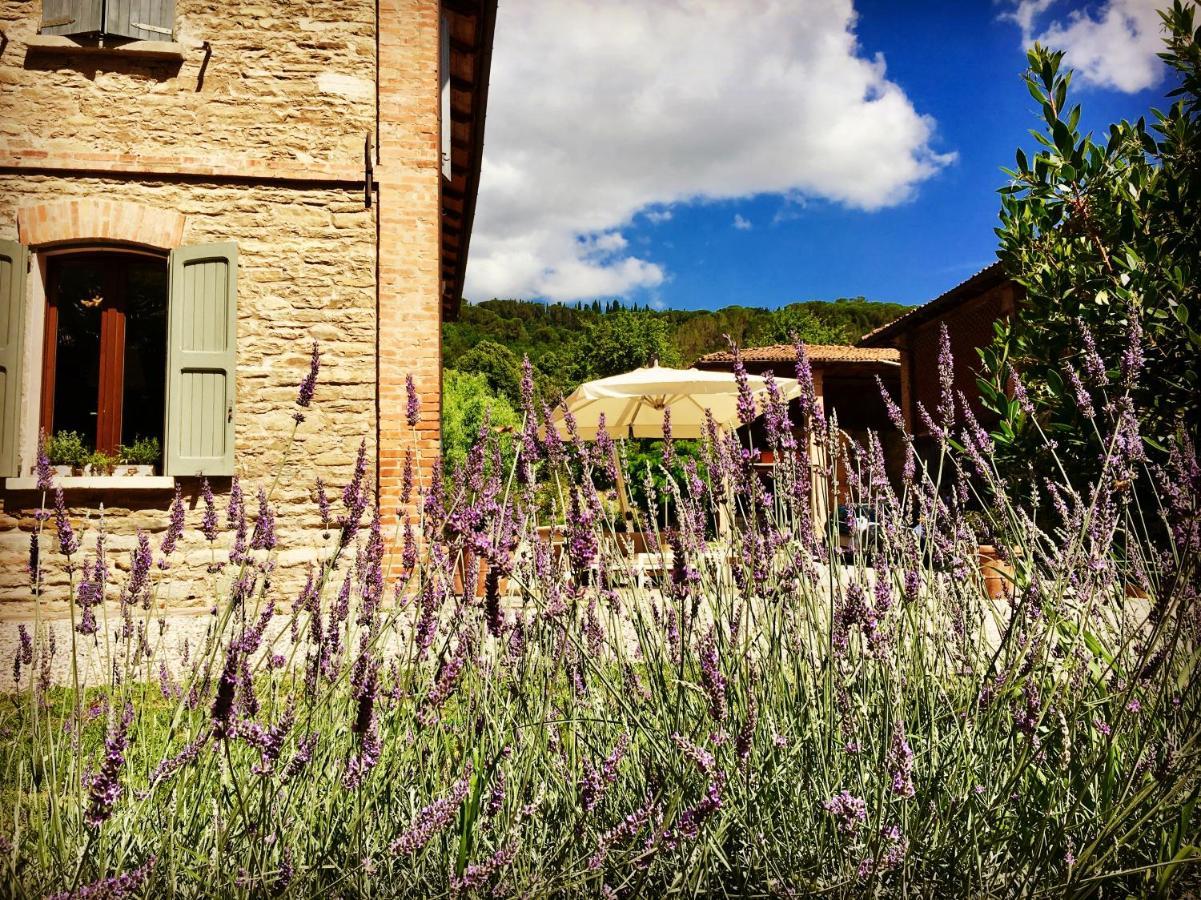 Il Cardello Locanda Casola Valsenio Exterior photo