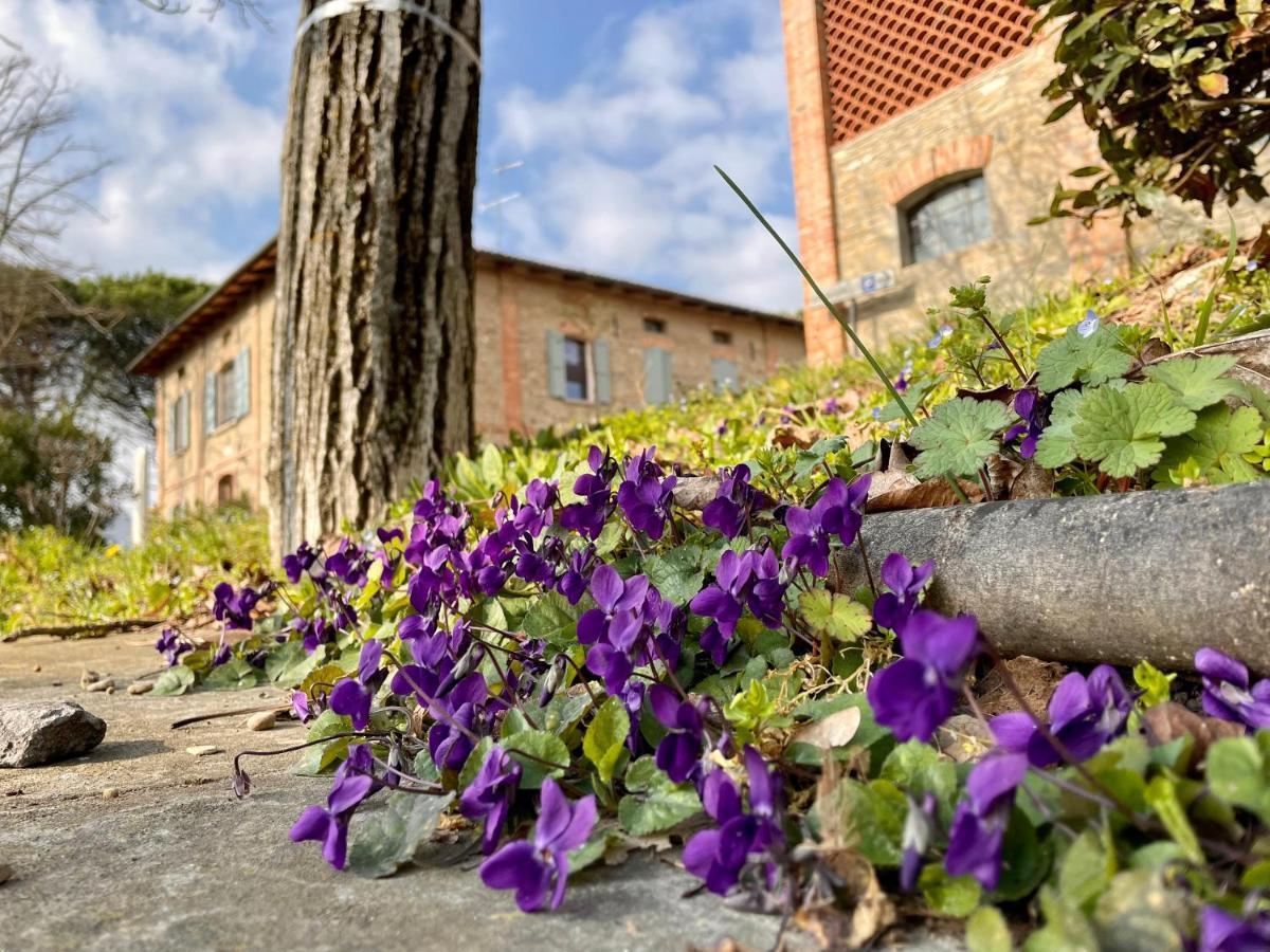 Il Cardello Locanda Casola Valsenio Exterior photo